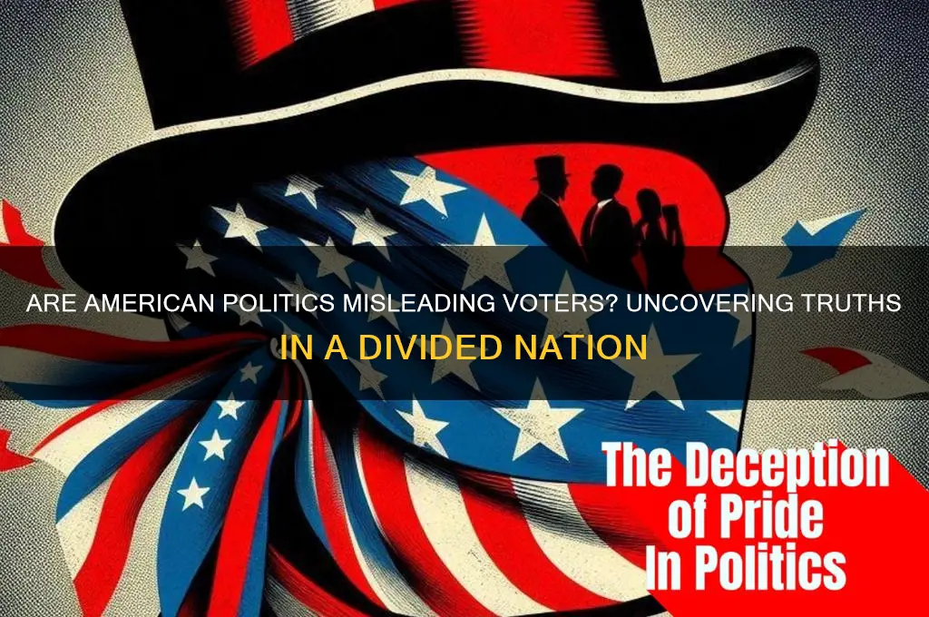 are politics in america misleading