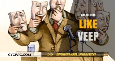 Are Politics Like Veep? Reality vs. Satire in Governance