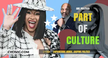 Politics and Culture: Exploring Their Intricate Relationship and Influence