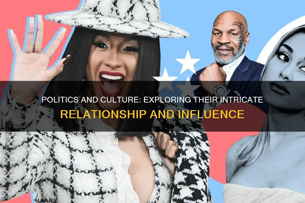 are politics part of culture