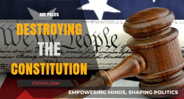 Are Partisan Politics Eroding the Foundations of Our Constitution?