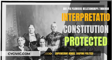 Polygamy's Constitutional Protection: Interpreting Relationship Rights