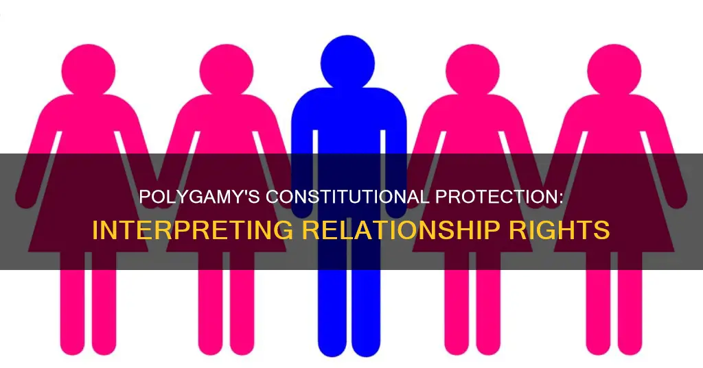 are polygamous relationships through interpretation constitutionally protected