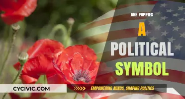 Poppies and Politics: Unraveling the Symbolic Significance of Remembrance