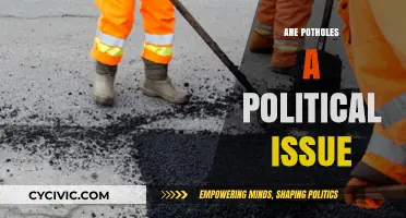 Potholes and Politics: How Road Cracks Reflect Government Accountability