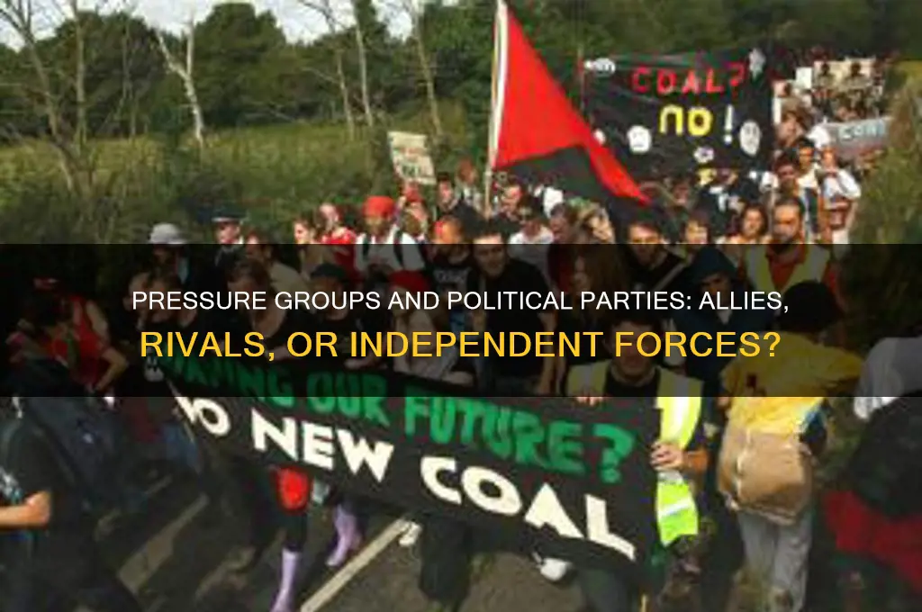 are pressure groups related to political parties