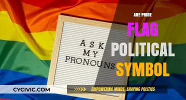 Pride Flags: Political Symbols or Expressions of Identity and Resistance?
