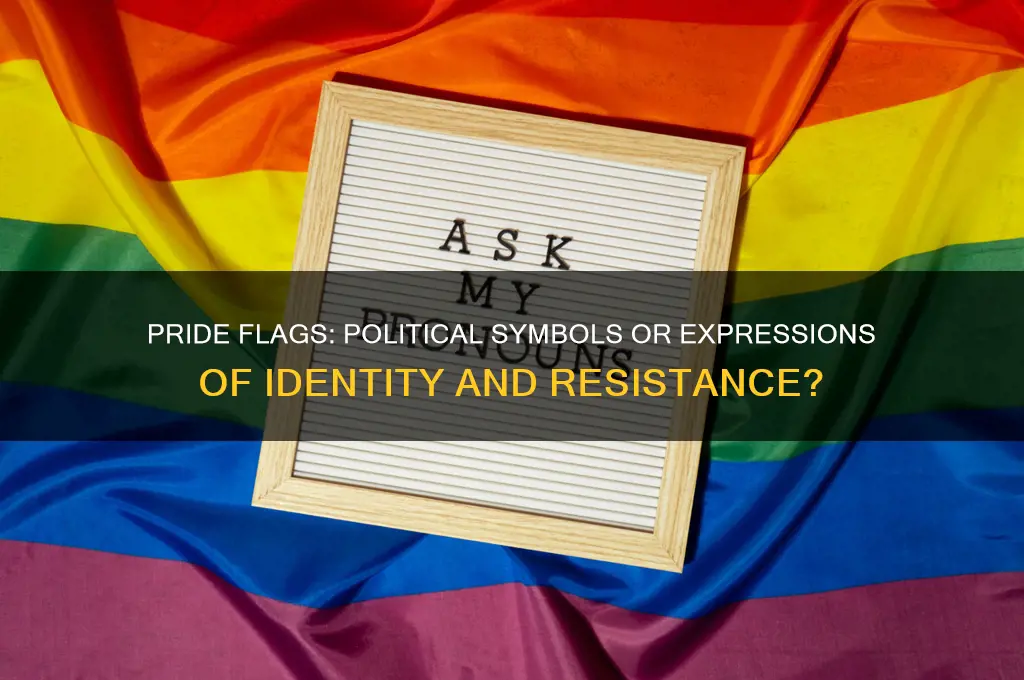 are pride flag political symbol