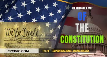 The Evolution of Primaries in US Elections