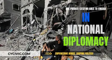 Engaging National Diplomacy: Private Citizens' Role