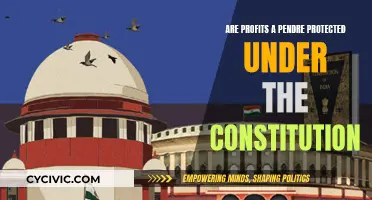 Profits à Prendre: Are They Constitutionally Protected?