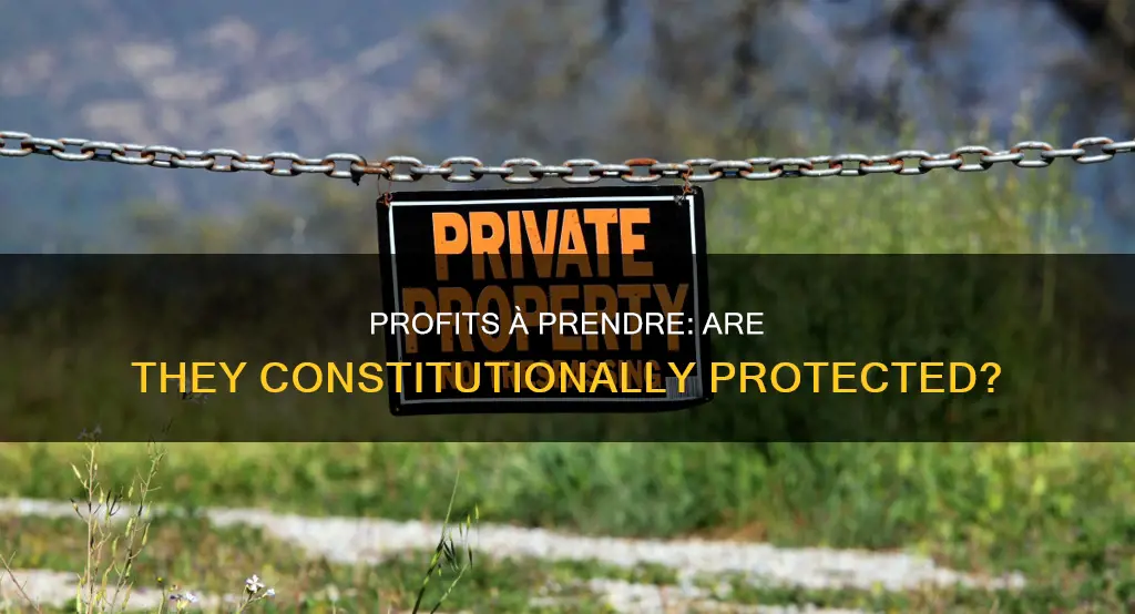 are profits a pendre protected under the constitution