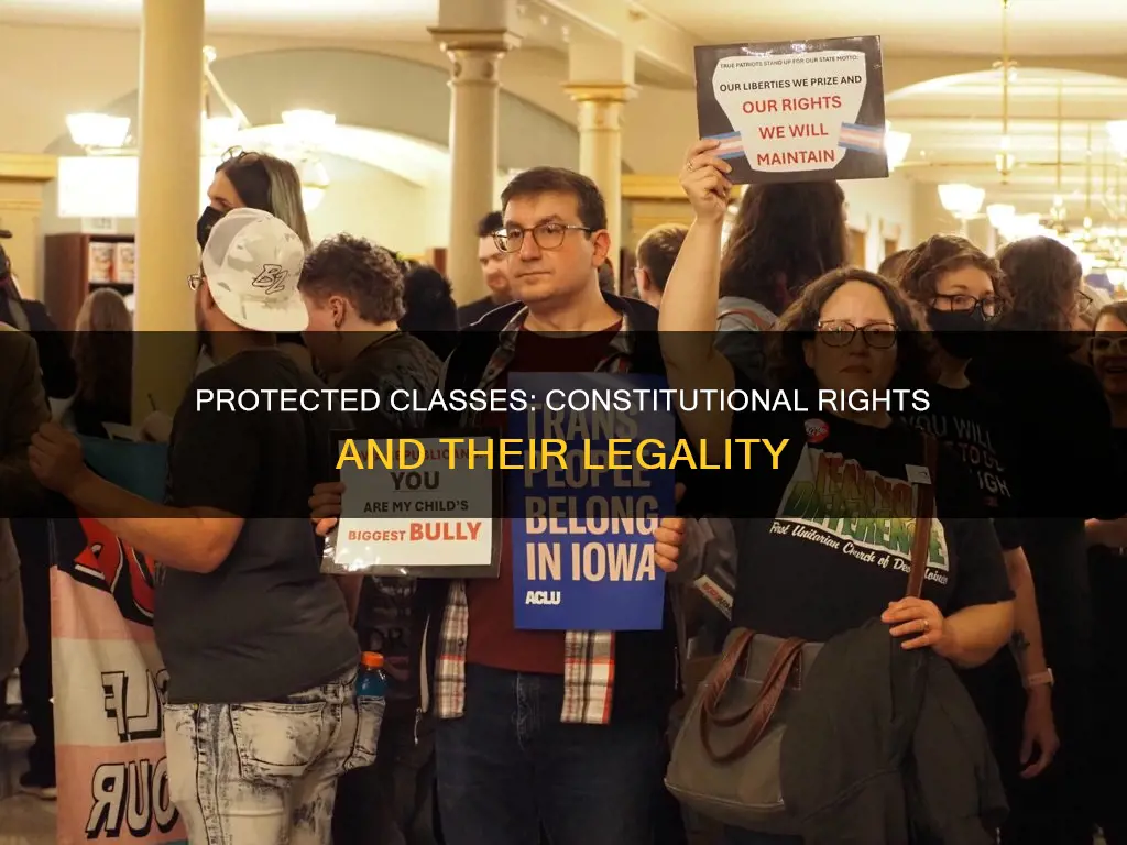 are protected classes constitutional