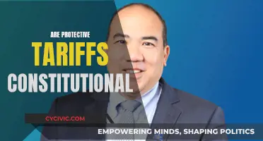 Protective Tariffs: Constitutional Quandary or Economic Savior?