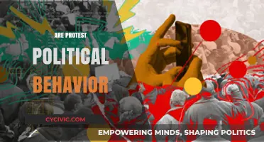 Are Protests Political Behavior? Exploring Activism's Role in Democracy