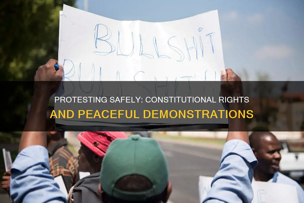 are protests protected by the constitution