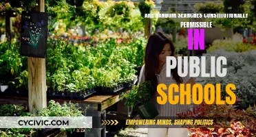 Public School Random Searches: What Are the Legal Boundaries?