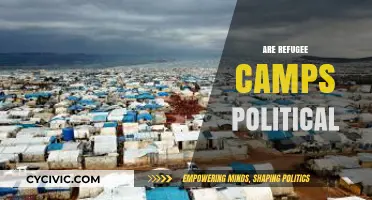 Refugee Camps: Humanitarian Havens or Political Battlegrounds?