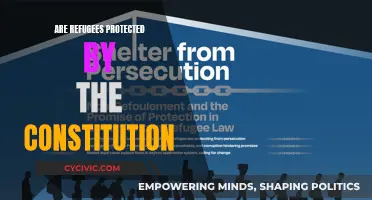 The Constitution and Refugees: What Protections Exist?