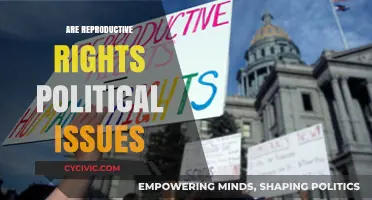 The Politicization of Reproductive Rights: A Global Perspective
