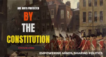 Riots and the Constitution: What's Protected and What's Not?