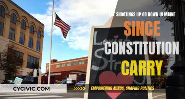 Gun Violence in Maine: Impact of Constitutional Carry