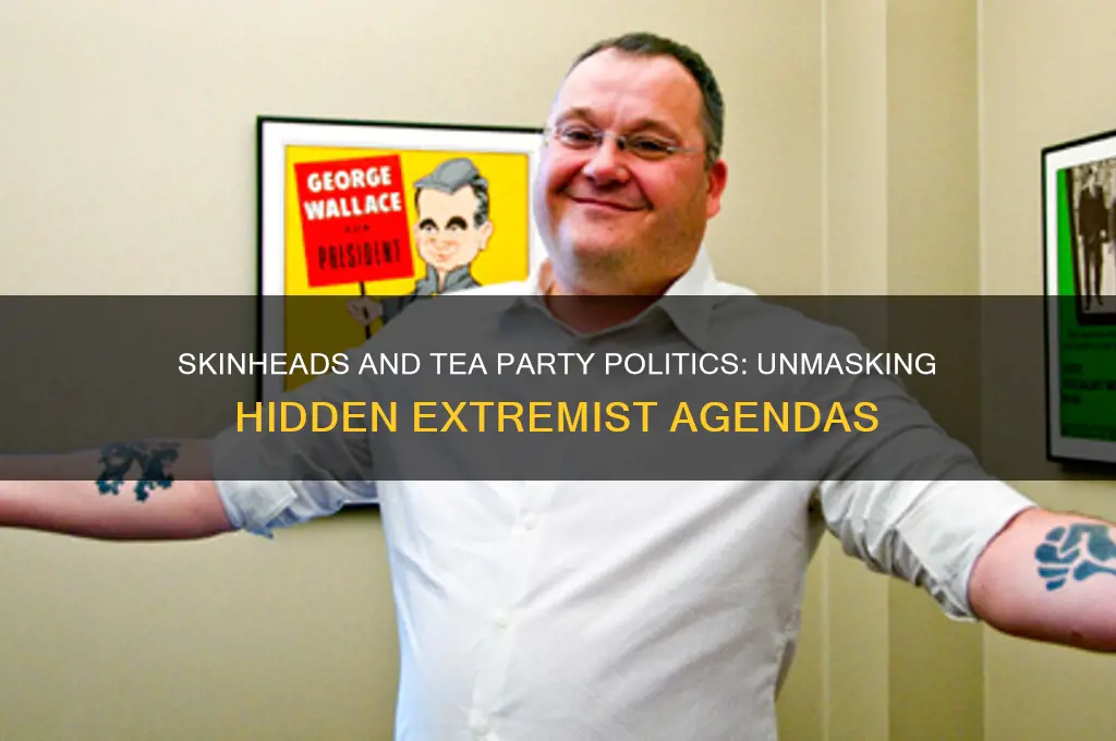 are skinheads hiding behind tea party politics