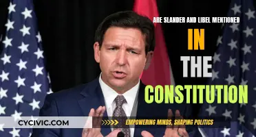 The Constitution's Take on Libel and Slander