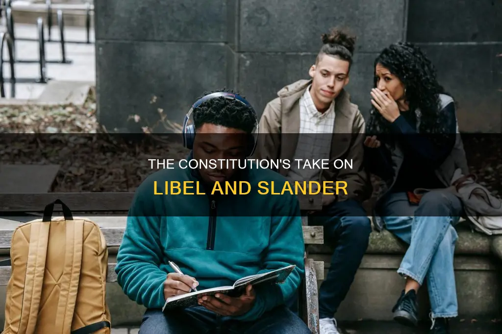 are slander and libel mentioned in the constitution