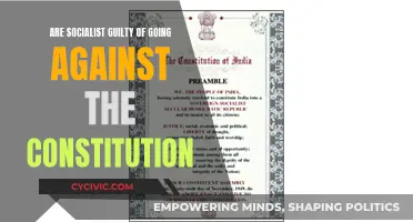 Socialism vs. the Constitution: Who's Guilty?