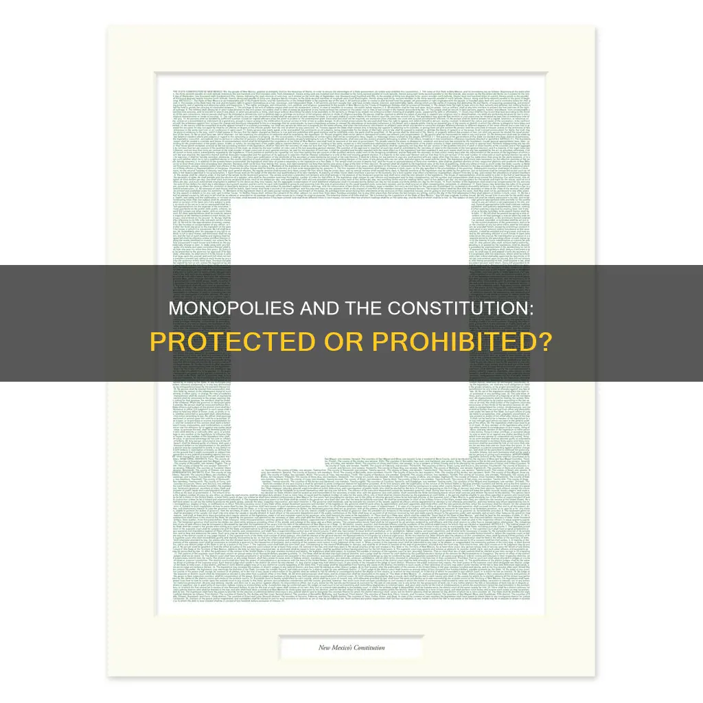 are some monopolies protected by the constitution