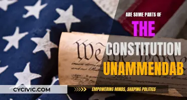 Unamendable Constitution: Is It Possible?
