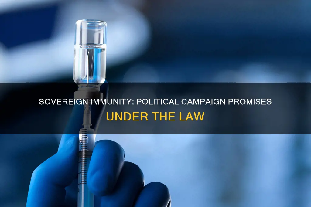 are statements made during political campaign protected by sovereign immunity