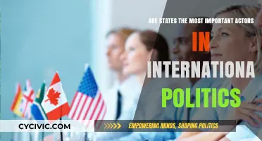 The Primacy of States in International Politics: A Critical Examination