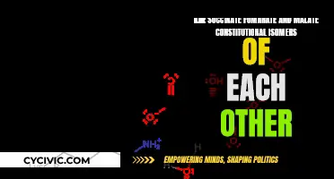 Succinate, Fumarate, and Malate: Constitutional Isomers in Comparison