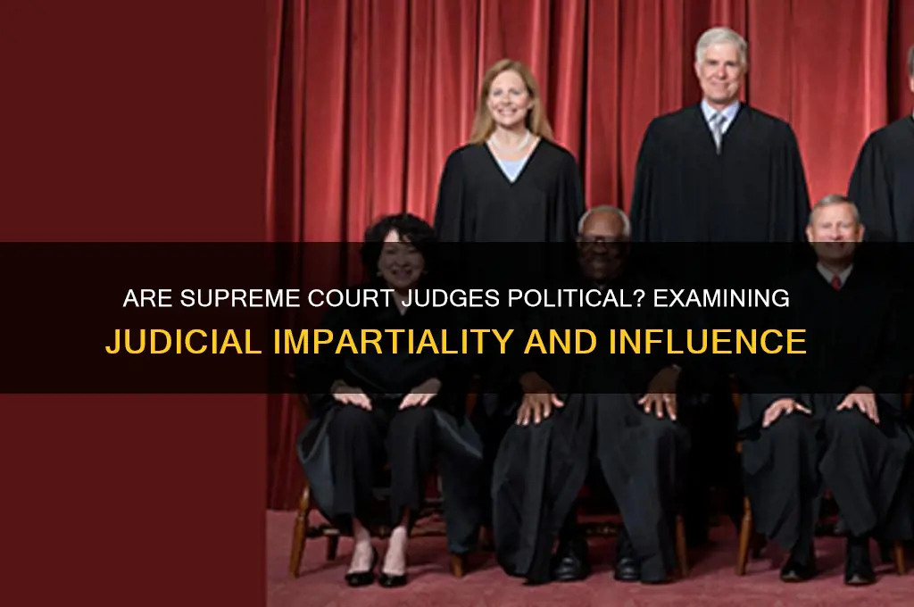 are supreme court judges political