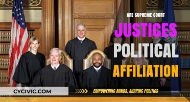 Examining the Political Affiliations of Supreme Court Justices