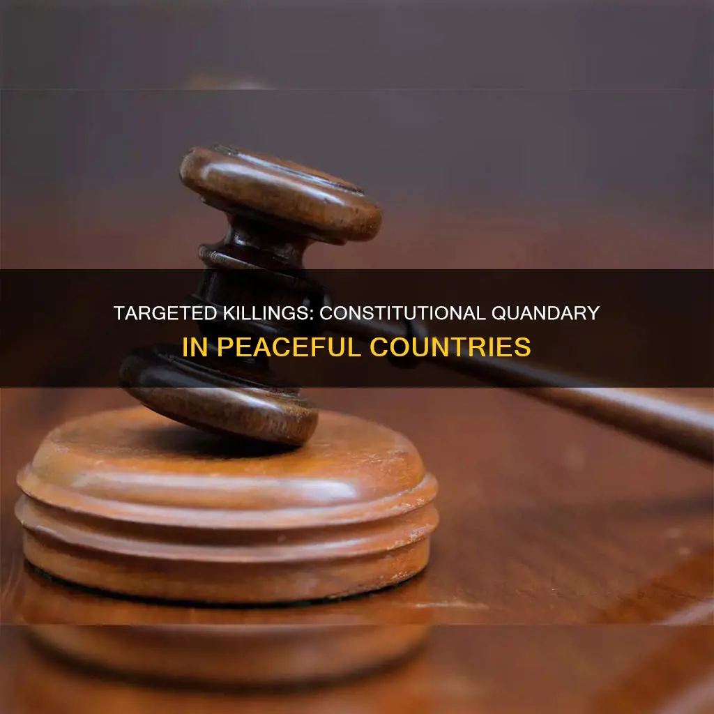 are targeted killings at a peaceful country constitutional