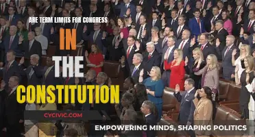 Term Limits for Congress: Exploring Constitutional Boundaries