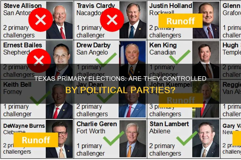 are texas primary elections held by political parties