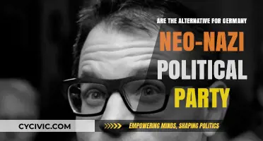 Is the Alternative for Germany a Neo-Nazi Political Party?