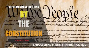 Amendments: Our Constitutional Rights