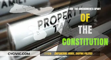 Amendments: Vital Constitution Components