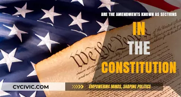 Amendments: Constitution's Living Sections