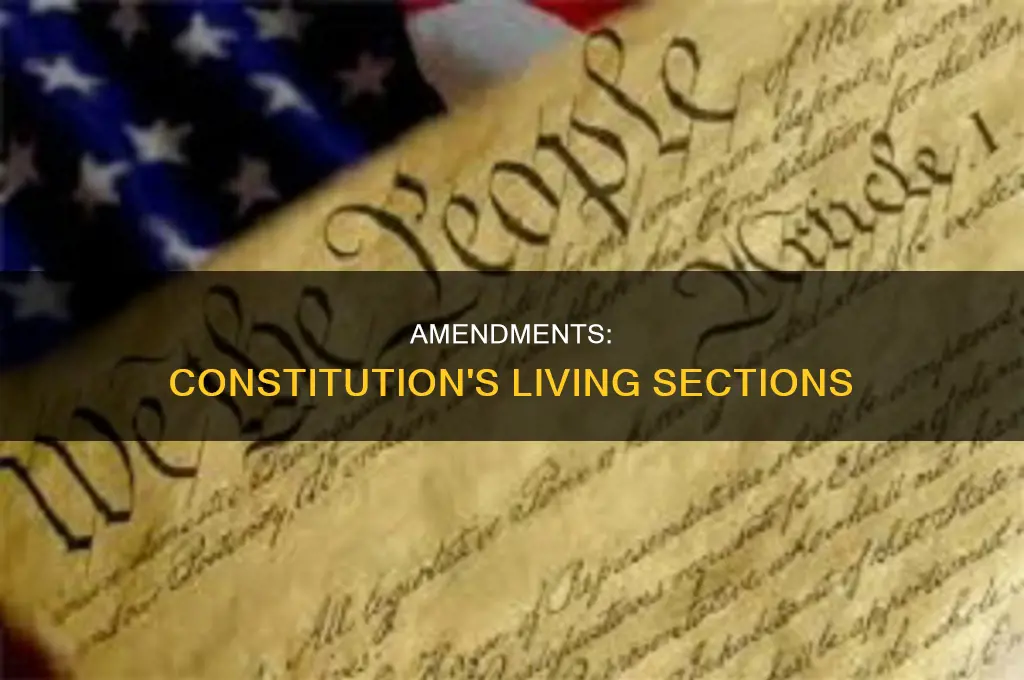 are the amendments known as sections in the constitution