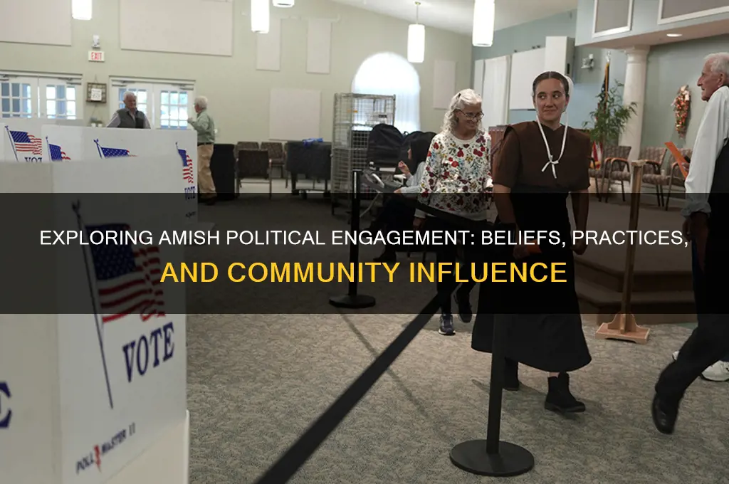 are the amish political