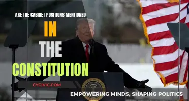 The Cabinet: Constitutional or Conventional?