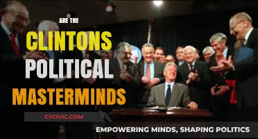 The Clintons' Political Legacy: Masterminds or Misunderstood Leaders?