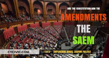Understanding the Constitution and Amendments: What's the Difference?