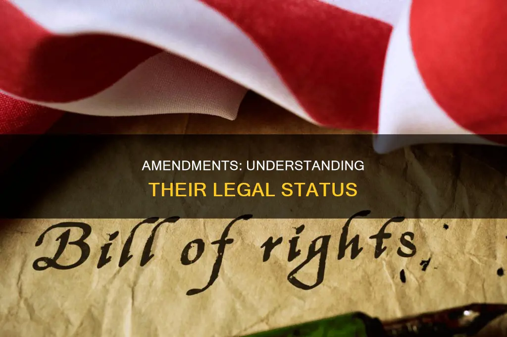 are the constitution amendments considered law
